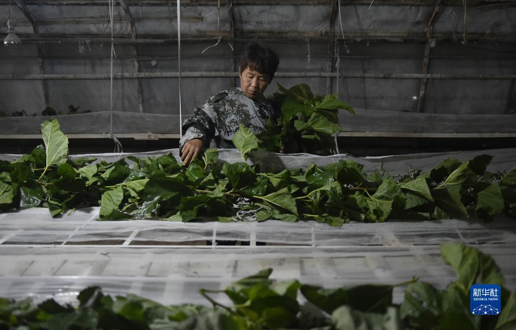 斗牛游戏大厅